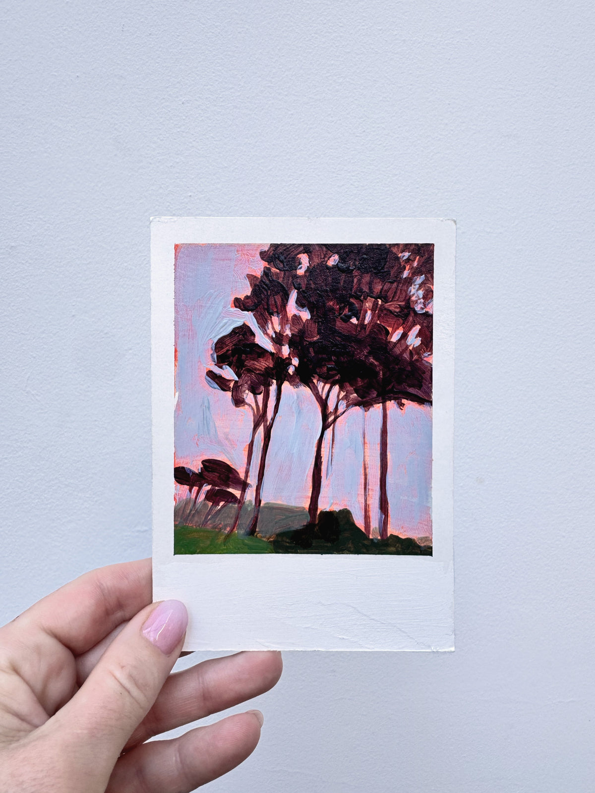 Cape Pines Red #3