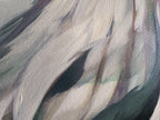 Gabriel's Feather