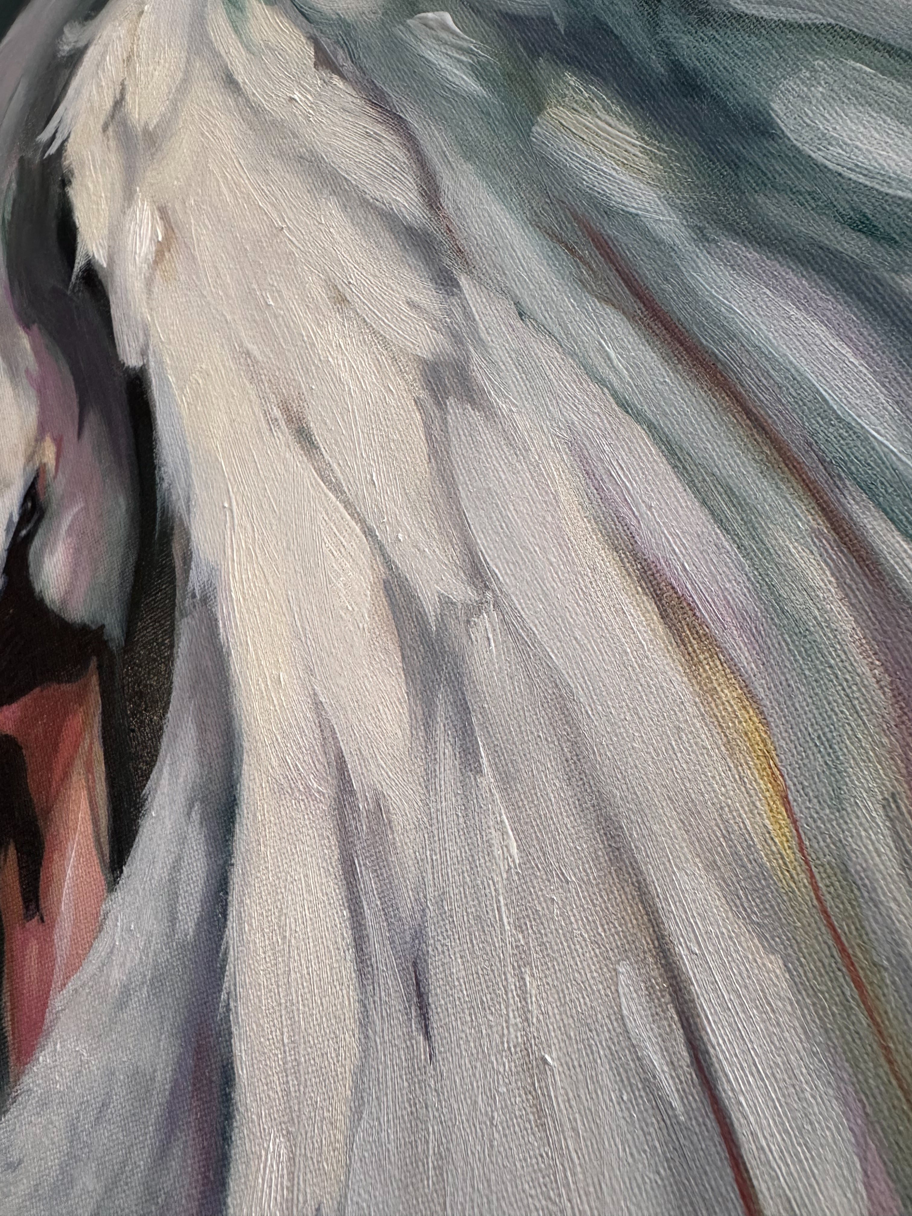 Gabriel's Feather