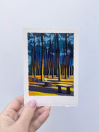 Deer Park #4