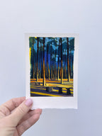 Deer Park #5