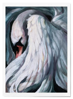 Gabriel's Feather LEP