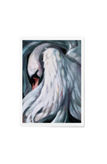 Gabriel's Feather Limited Edition Print