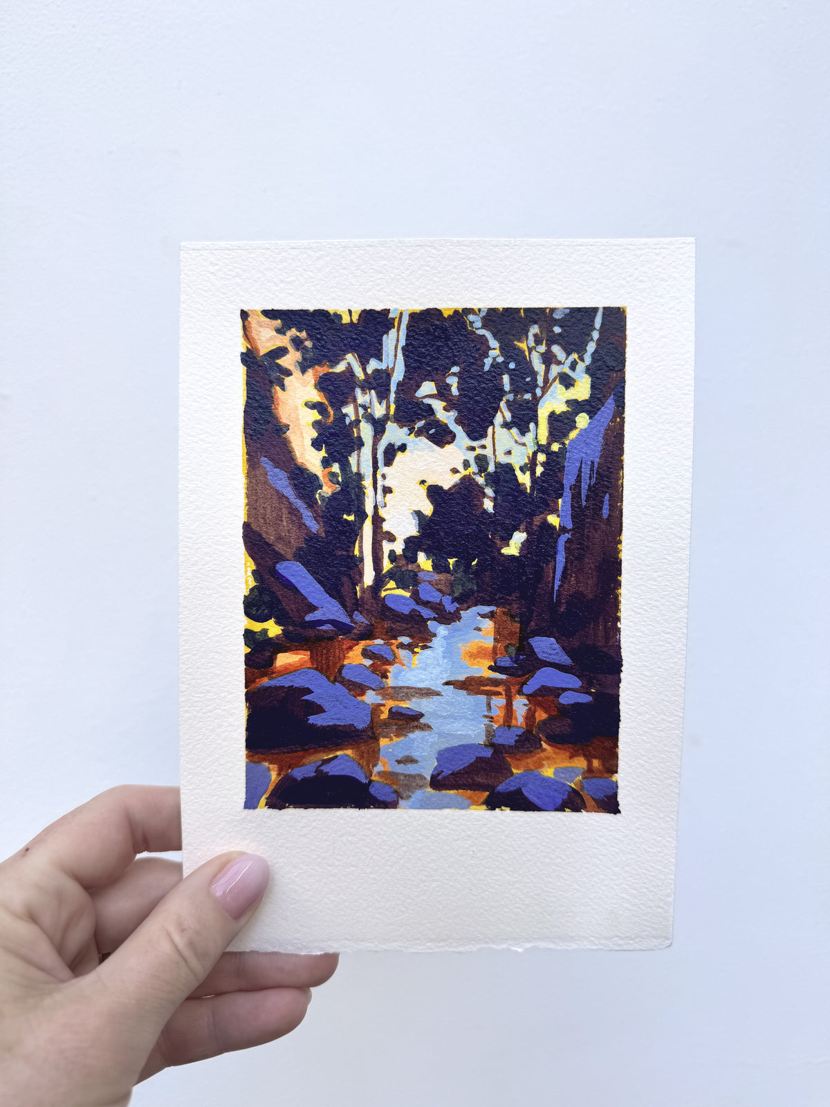 Newlands Forest Dapple #2