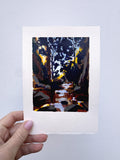 Newlands Forest Dapple #3