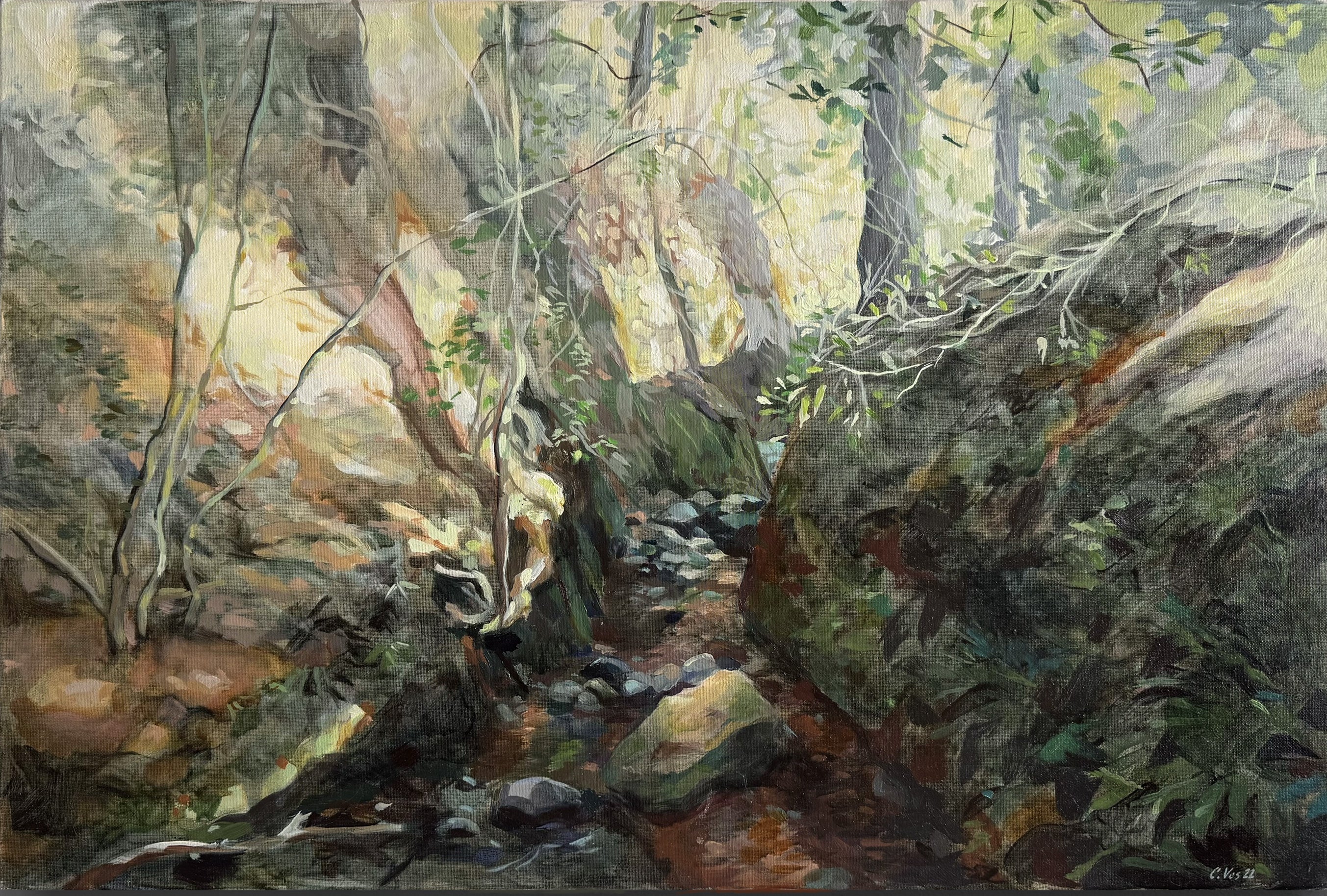 Newlands Stream
