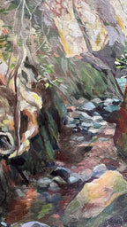 Newlands Stream