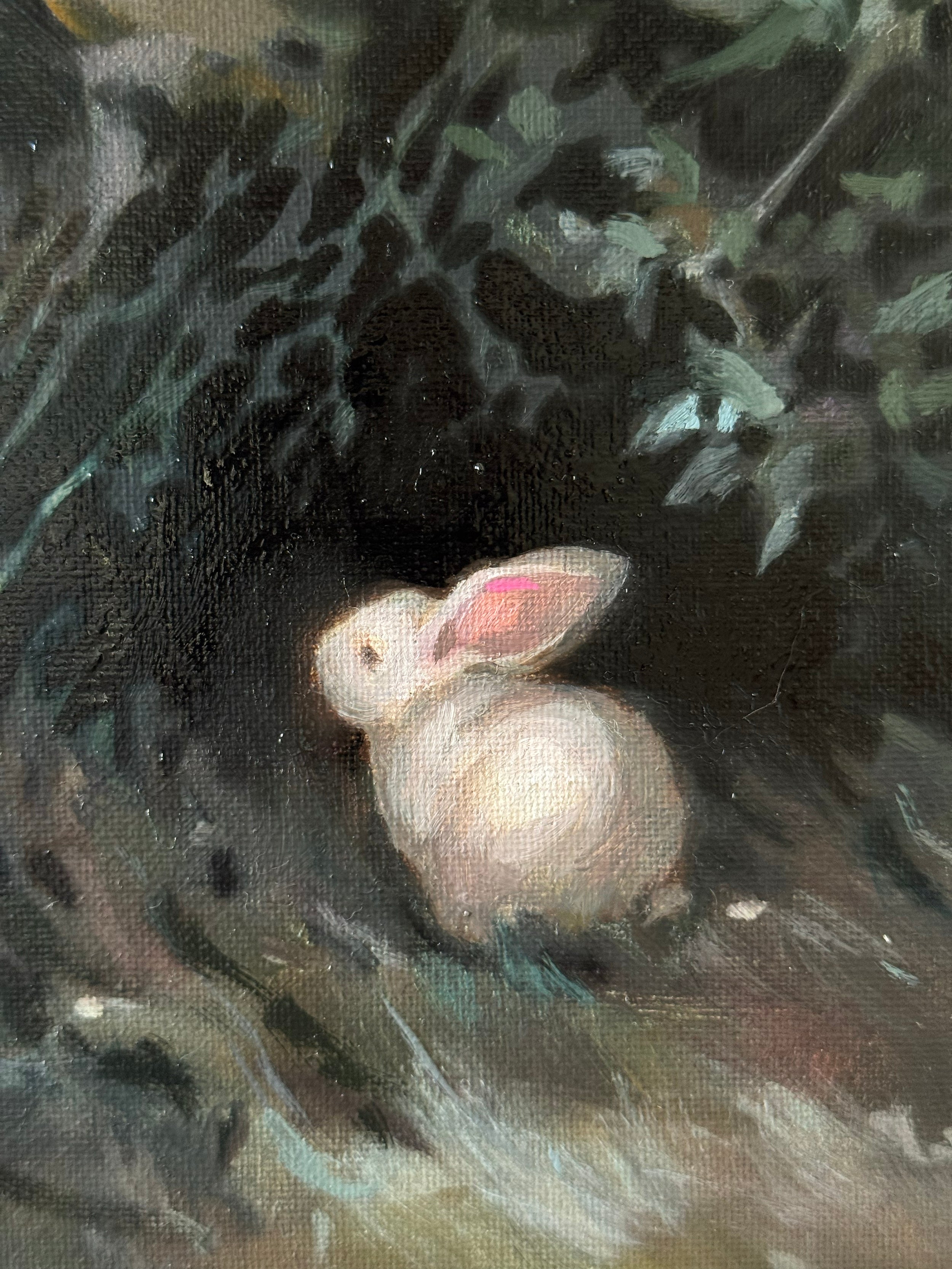 White Rabbit