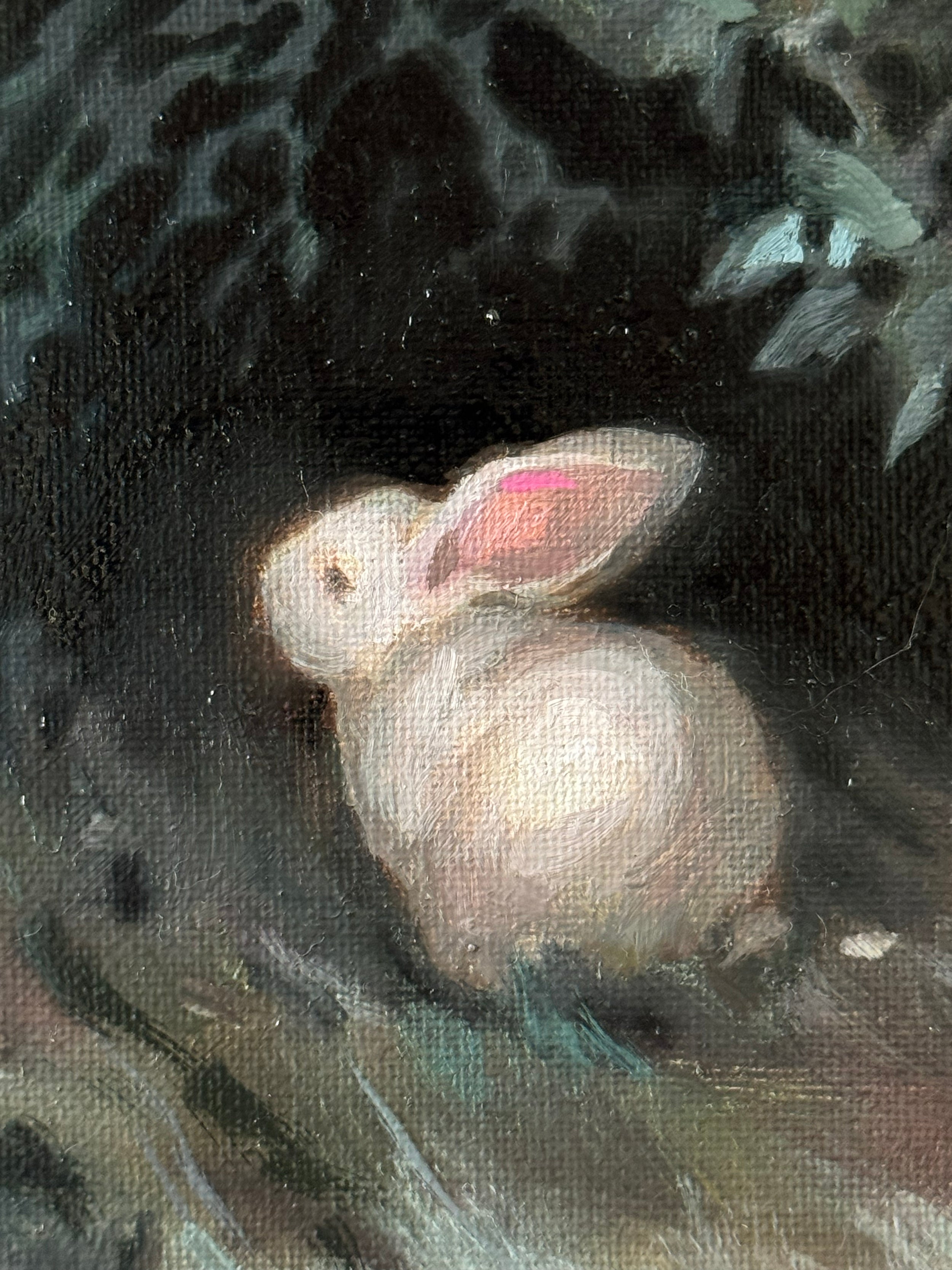 White Rabbit